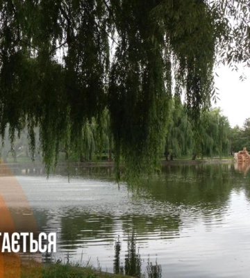 До +36 і тропічні ночі: Рівненщину знову накриє спека  (ВІДЕО)