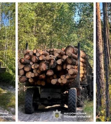 У жителя Рівненщини вилучили вантажівку з незаконно зрубленою деревиною