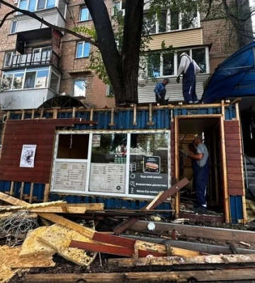 Стало частью помещения: в Киеве спасли дерево, которое росло внутри МАФа 