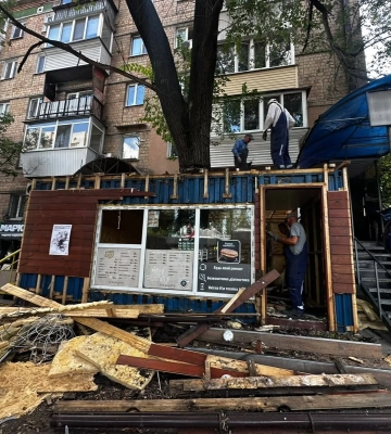 У Києві звільнили дерево, заживо замуроване у МАФі – фото