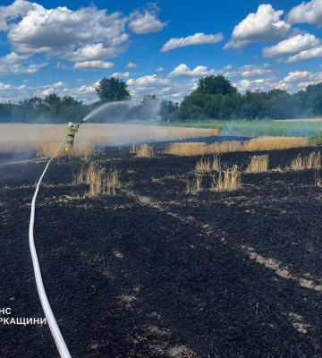 Через необережне куріння на Городищині горіла пшениця (ФОТО)