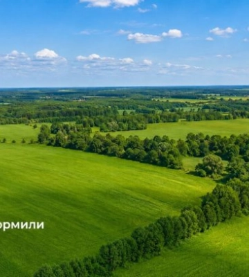 В Киевской области лесную землю незаконно оформили под застройку
