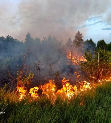 На Львівщині різко зросла кількість пожеж сухостою: вигоріло майже вчетверо більше території