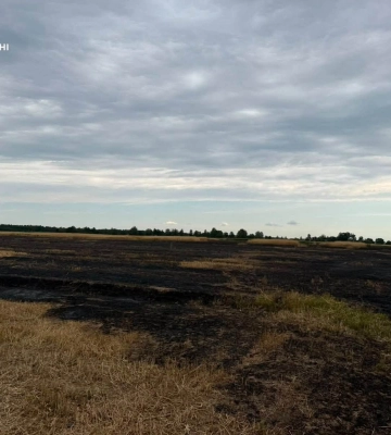 Учора на Волині ліквідували чотири пожежі сухої рослинності