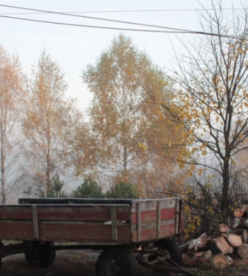 Де на Волині купити дрова без черг і скільки вони коштують