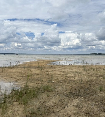 Дощі не врятували Світязь: рівень води в найбільшому озері Волині продовжує знижуватися