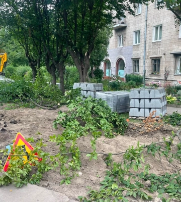 У Львові на вулиці Франка зрізали дерева й знищили газон заради зупинки громадського транспорту (відео)