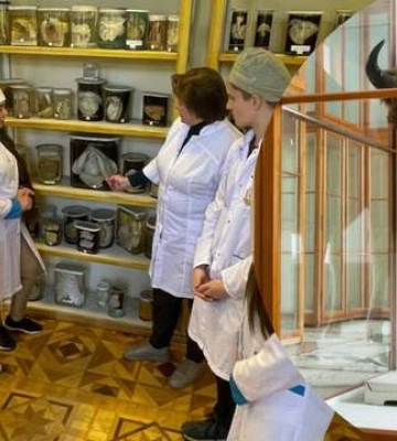 Патології людських плодів і опудало зубра: 3 незвичайні музеї Львова, які здивують