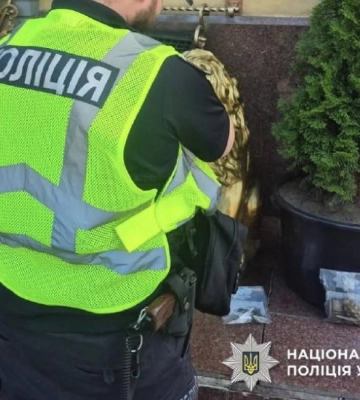 В одному з районів Києва виявили вибухонебезпечні предмети: поліція розкрила деталі
