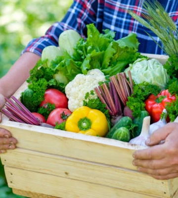 На Львівщині профінансували підтримку виробників овочевої продукції та ветеранського фермерства