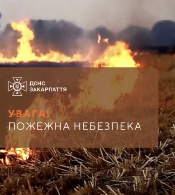 Закарпаття на межі пожежної небезпеки: рятувальники попередили про критичні дні