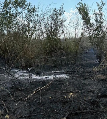 На Одещині через палаюче сміття постраждали сільгоспугіддя
