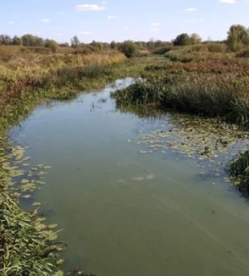 На Первомайщині зафіксували небезпечне маловоддя на притоці Південного Бугу