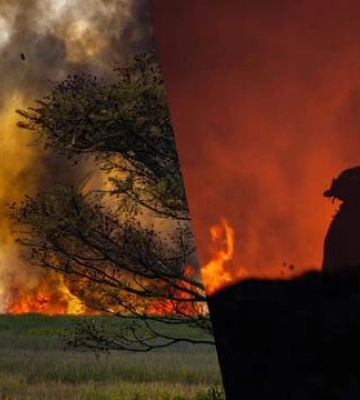 На Францію та Іспанію очікують "важкі часи": вже 300 000 людей евакуювали через пожежі