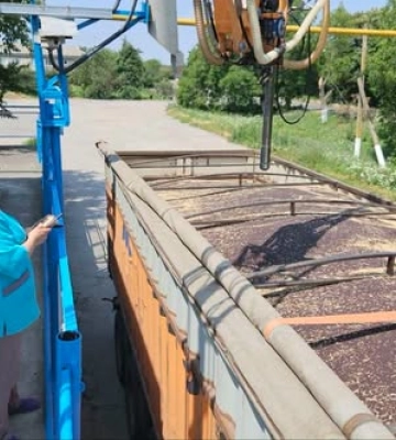 На елеватори Tekom Agro Group надійшов ріпак нового врожаю