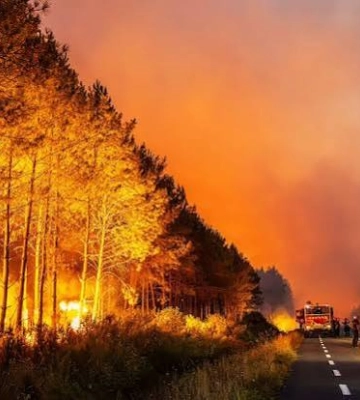 Через лісові пожежі у Франції та Іспанії евакуювали понад 220 тисяч людей