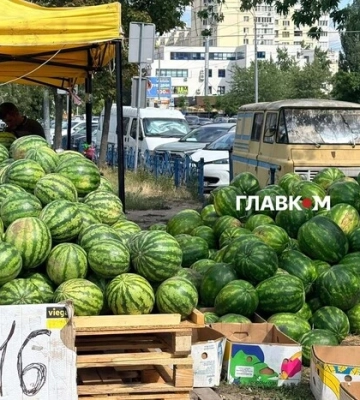Сезон у розпалі: скільки коштують кавуни та дині на столичному ринку