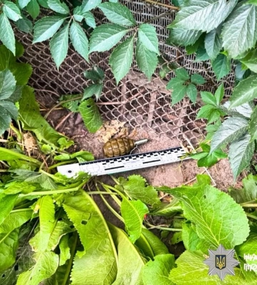 Поліцейські на Рівненщині виїхали на виклик про домашнє насильство, а знайшли гранату