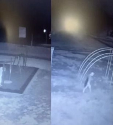 У Кривому Розі невідомий зрізав інклюзивні гойдалки: відео передали поліції