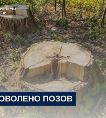 На Рівненщині лісгосп має відшкодувати 428 тисяч гривень за незаконну вирубку лісу