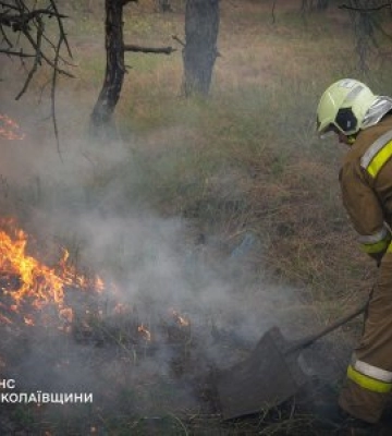 27 липня та в ніч проти 28 на території Миколаївщини зареєстровано 40 пожеж