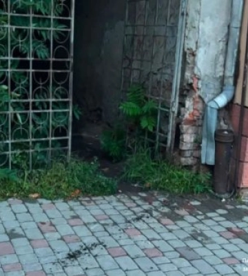 Понад у 13 разів перевищила норму: в Ужгороді п'яна водійка без посвідчення спричинила ДТП
