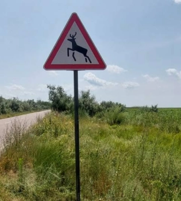 На трасі в Одеській області з’явилися нові дорожні знаки 