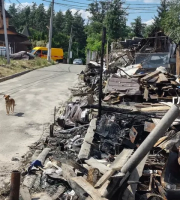 «Вишневого мало, Чернігова мало – на тобі ще третій раз!» Як Капітанівка оговтується після удару по виставці зброї