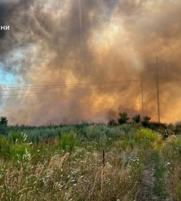 Під Вишгородом на Київщині спалахнула масштабна пожежа 