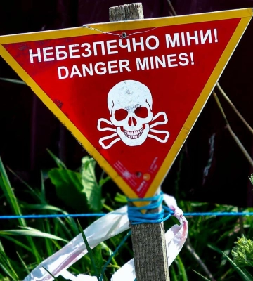 Знайшли під час обходу території та збору грибів: на Львівщині ліквідували два небезпечні боєприпаси