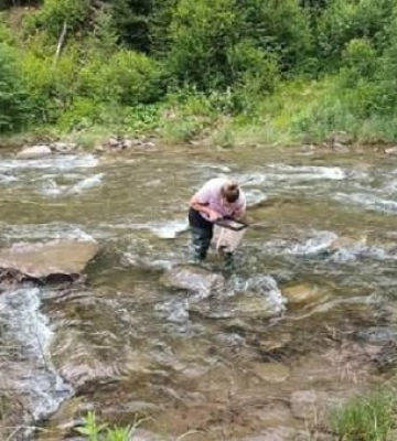 Масштабні дослідження карпатських водойм: науковці обстежили 20 річок Закарпаття