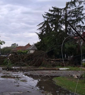 Угорська ХДНП закликала уряд країни надати допомогу постраждалим від негоди закарпатцям