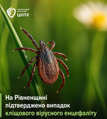 На Рівненщині виявили випадок кліщового енцефаліту: що потрібно знати