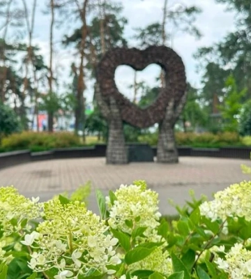 Сезон гортензій у Києві: де знайти 100-метрову алею та моносади (перелік адрес)