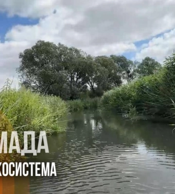 Коли "Рівненські плавні" врешті отримають статус заказника (ВІДЕО)