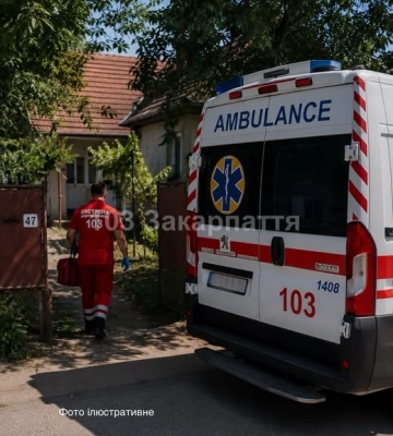 9-річний хлопчик потрапив до лікарні після нападу собаки на Тячівщині