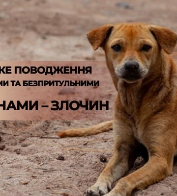 Чоловіка, який у Львові викинув власну собаку з балкона, взяли під варту