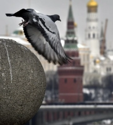 Активність бізнесу в Росії впала до рівня весни 2022 року - розвідка