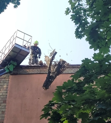 У Києві рятувальники прибрали чотиритонне дерево, що впало на житловий будинок 