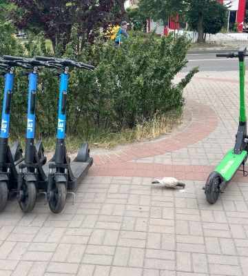 Хто бачив у Львові електросамокатника в шоломі? За два місяці у місті постраждали 95 дітей