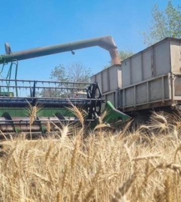 Аграрії Донеччини обмолотили ранні зернові на 60% площ