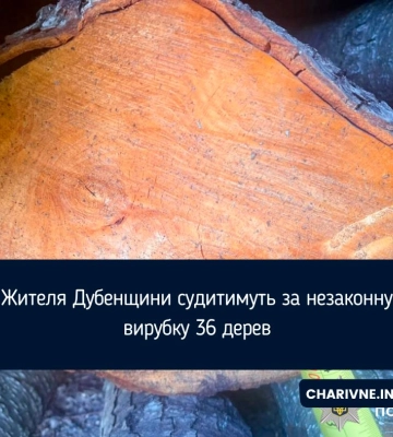 Жителя Дубенщини судитимуть за незаконну вирубку 36 дерев