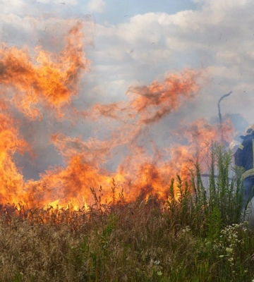 Двоє чоловіків, які підпалили сміття та суху траву на Волині, заплатять штрафи