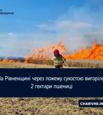 На Рівненщині через пожежу сухостою вигоріло 2 гектари пшениці
