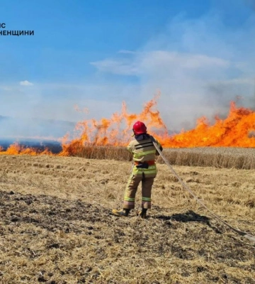 На Рівненщині через займання сухостою згоріло 2 гектари пшениці