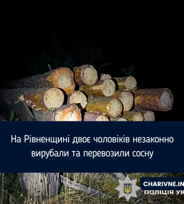 На Рівненщині двоє чоловіків незаконно вирубали та перевозили сосну