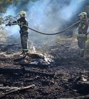 29 липня та в ніч проти 30 на території Миколаївщини виникло 36 пожеж, які не пов’язані із ворожими атаками