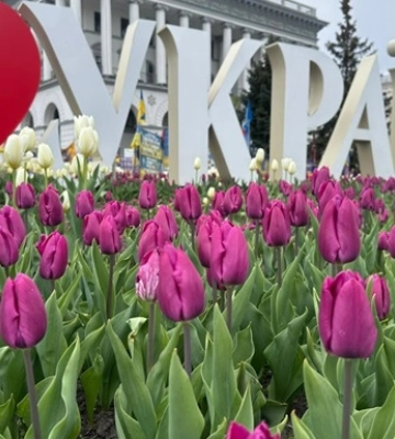 В Украине проверили более 99% названий улиц в новом реестре адресов