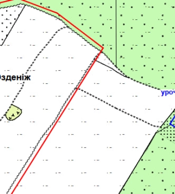 У Луцькій громаді офіційно з'явилося нове урочище: де воно розташоване
