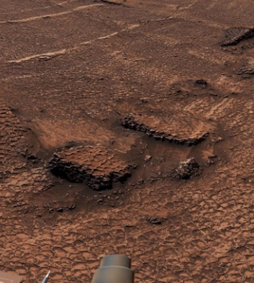 На Марсі виявили поле "сот": відкриття Curiosity здивувало NASA